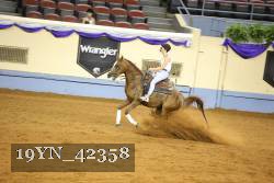 19YN_42358 thumbnail