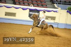 19YN_42359 thumbnail