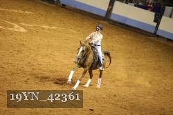 19YN_42361 thumbnail