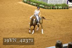 19YN_42371 thumbnail