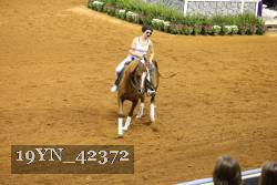 19YN_42372 thumbnail