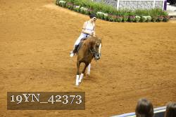 19YN_42373 thumbnail