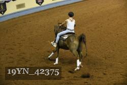 19YN_42375 thumbnail