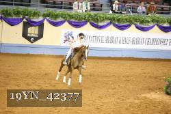 19YN_42377 thumbnail