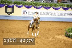 19YN_42378 thumbnail