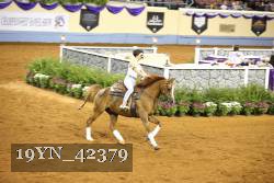 19YN_42379 thumbnail