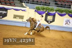 19YN_42381 thumbnail