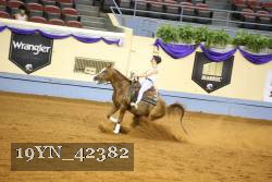 19YN_42382 thumbnail