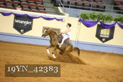 19YN_42383 thumbnail