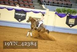 19YN_42384 thumbnail