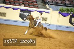 19YN_42385 thumbnail