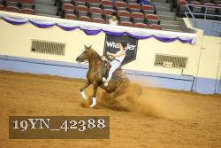 19YN_42388 thumbnail