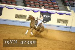 19YN_42390 thumbnail