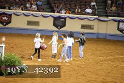 19YN_42392 thumbnail