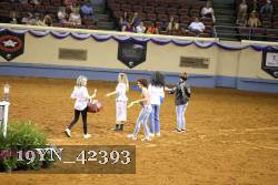 19YN_42393 thumbnail