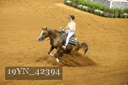 19YN_42394 thumbnail