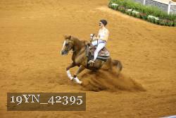 19YN_42395 thumbnail