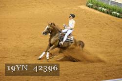 19YN_42396 thumbnail