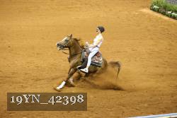 19YN_42398 thumbnail