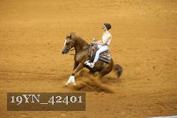 19YN_42401 thumbnail