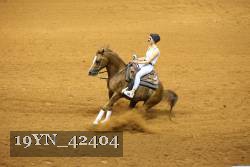19YN_42404 thumbnail