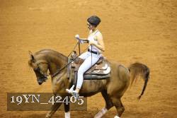 19YN_42405 thumbnail