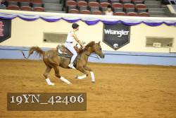 19YN_42406 thumbnail