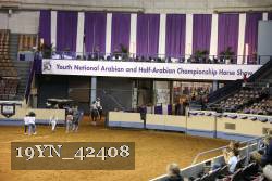 19YN_42408 thumbnail