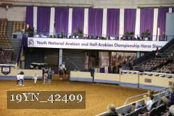 19YN_42409 thumbnail