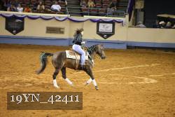 19YN_42411 thumbnail