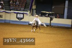 19YN_43666 thumbnail