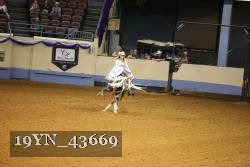 19YN_43669 thumbnail