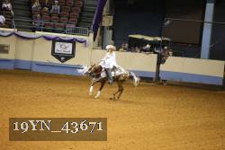 19YN_43671 thumbnail