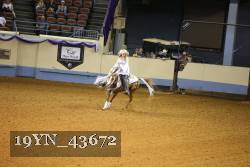 19YN_43672 thumbnail