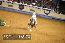 19YN_43673 thumbnail