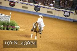 19YN_43674 thumbnail