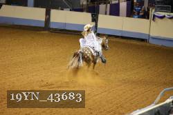 19YN_43683 thumbnail
