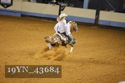 19YN_43684 thumbnail