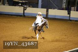 19YN_43687 thumbnail