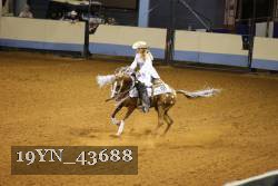 19YN_43688 thumbnail
