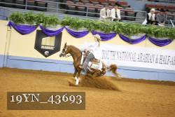 19YN_43693 thumbnail