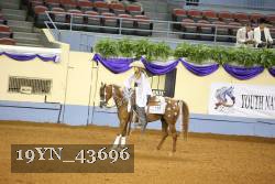 19YN_43696 thumbnail