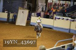 19YN_43697 thumbnail