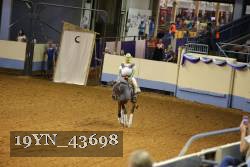 19YN_43698 thumbnail