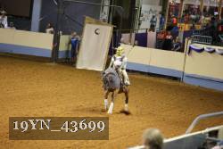 19YN_43699 thumbnail