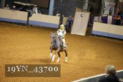 19YN_43700 thumbnail