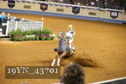19YN_43701 thumbnail