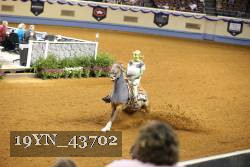 19YN_43702 thumbnail