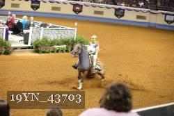19YN_43703 thumbnail