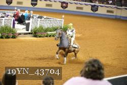 19YN_43704 thumbnail